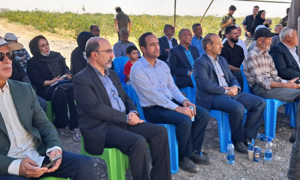 عملکرد باغهای پسته جوین از یک تن به ۱۳ تن در هکتار رسید