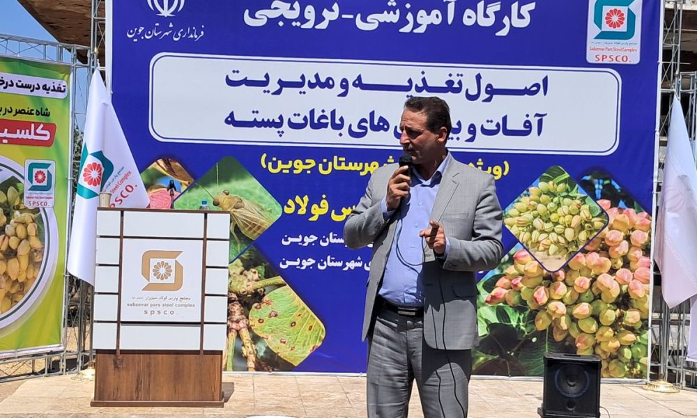 عملکرد باغهای پسته جوین از یک تن به ۱۳ تن در هکتار رسید