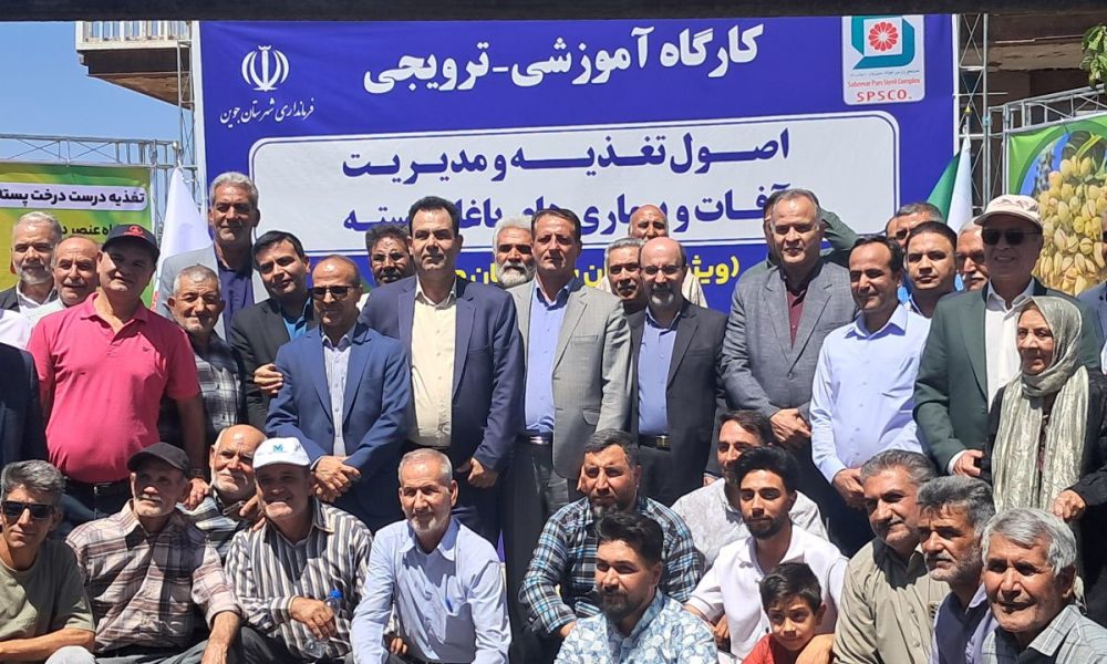 عملکرد باغهای پسته جوین از یک تن به ۱۳ تن در هکتار رسید