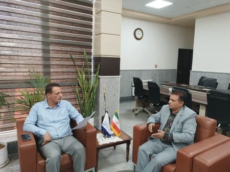 بررسی راهکارهای توسعه مشارکت مودیان در تخصیص منابع مالیاتی