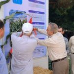 از ارقام جدید بذر ذرت و سورگوم و تأیید ۱۸ رقم بذر اصلاح‌ شده در شهرستان جوین خراسان رضوی رونمایی شد.