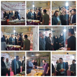 به گزارش روابط عمومی فرمانداری شهرستان جوین؛ در آخرین روز فعالیت بازار منطقه‌ای علی‌اکبر آزادواری فرماندار شهرستان، به همراه صداقت‌خواهی، معاون هماهنگی امور عمرانی فرمانداری، مشاور امور بانوان فرمانداری، شمس‌آبادی رئیس کمیته امداد امام خمینی (ره)، سردارآبادی رئیس اداره بهزیستی، رئیس اداره صنعت، معدن و تجارت و عباسی رئیس اتاق اصناف شهرستان از این رویداد بازدید کردند.